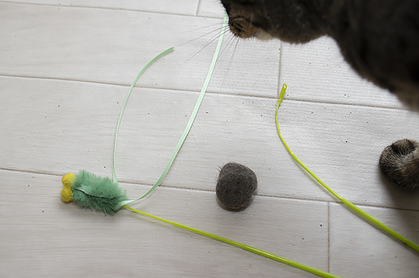 ネコのおもちゃ