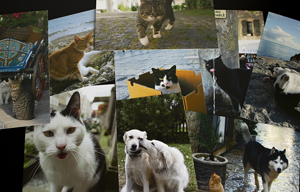 新美敬子写真展