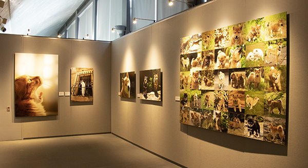 新美敬子写真展