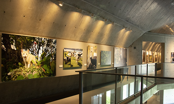 新美敬子写真展