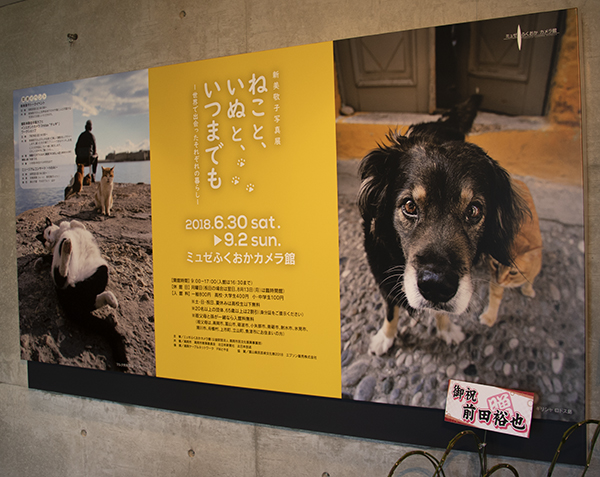 新美敬子写真展