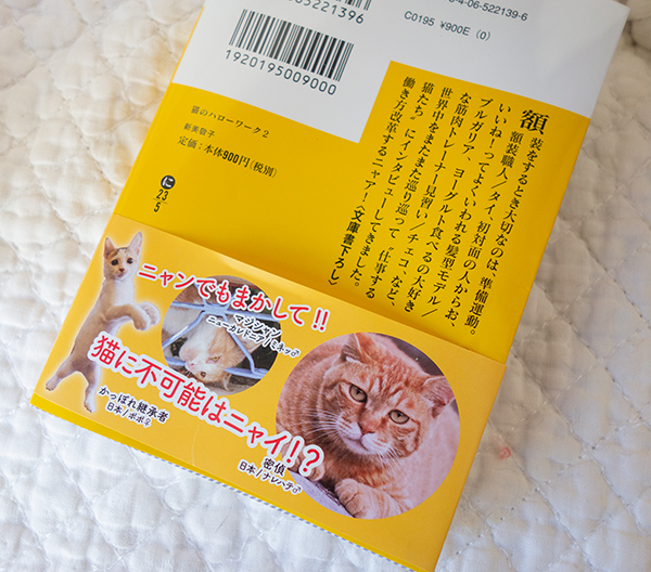 猫のハローワーク2